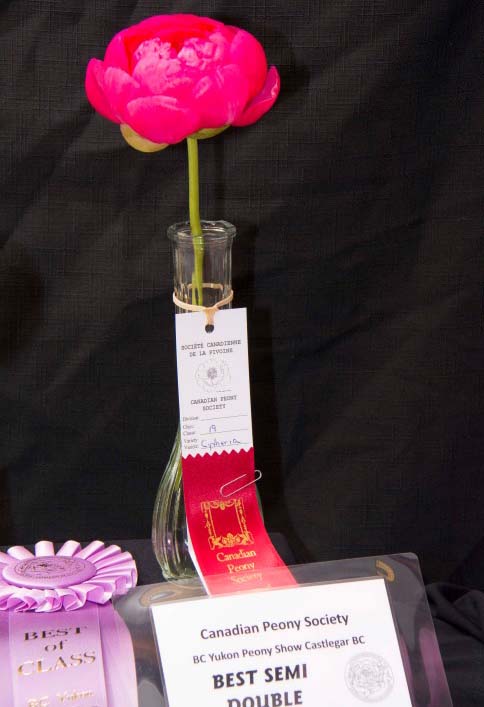 Request a Ribbon Quote